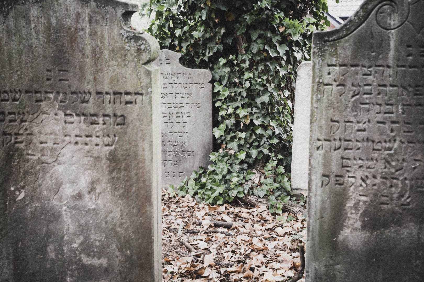 Rheda Wiedenbrück 0510